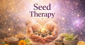 Seed Therapy